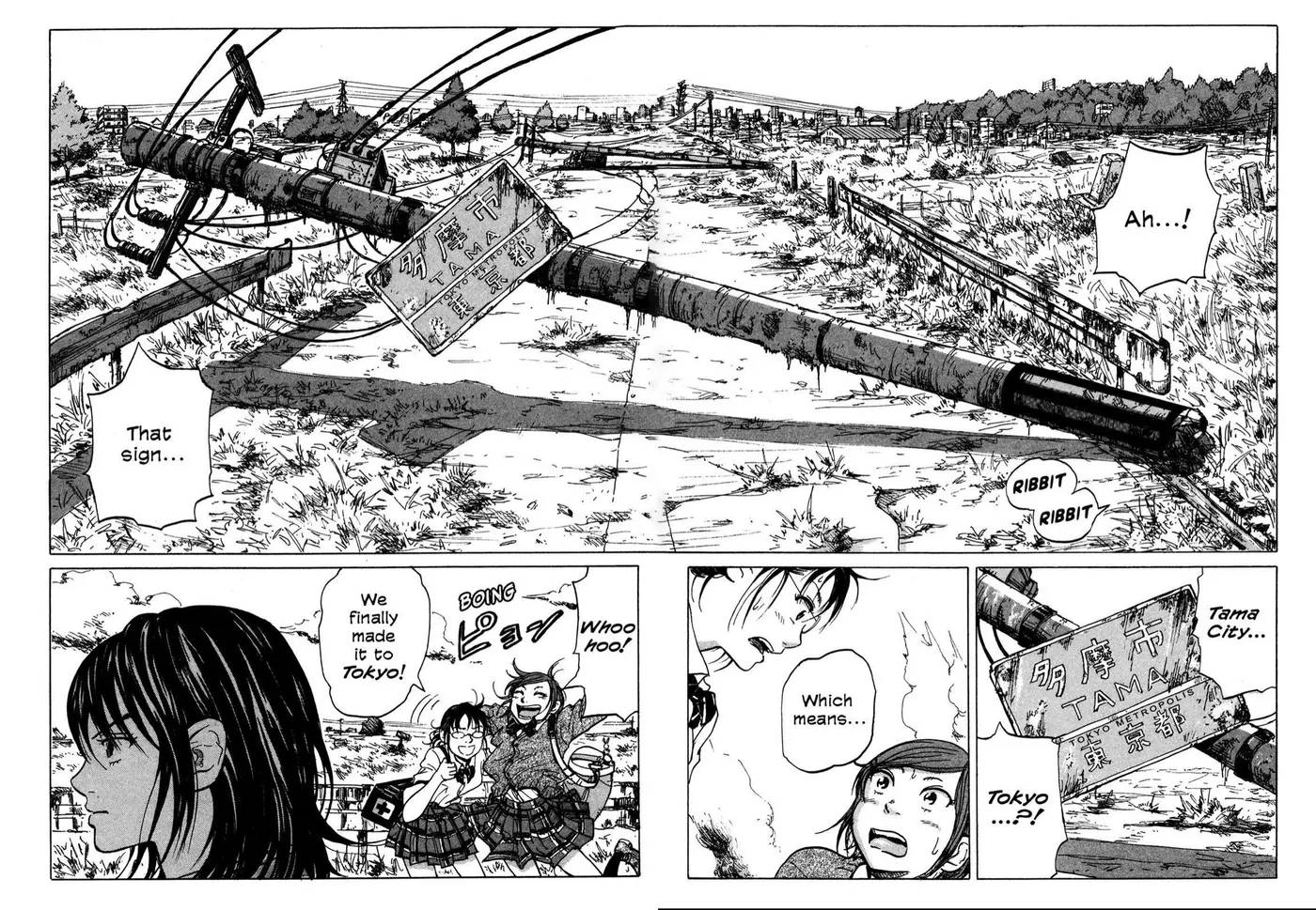 COPPELION