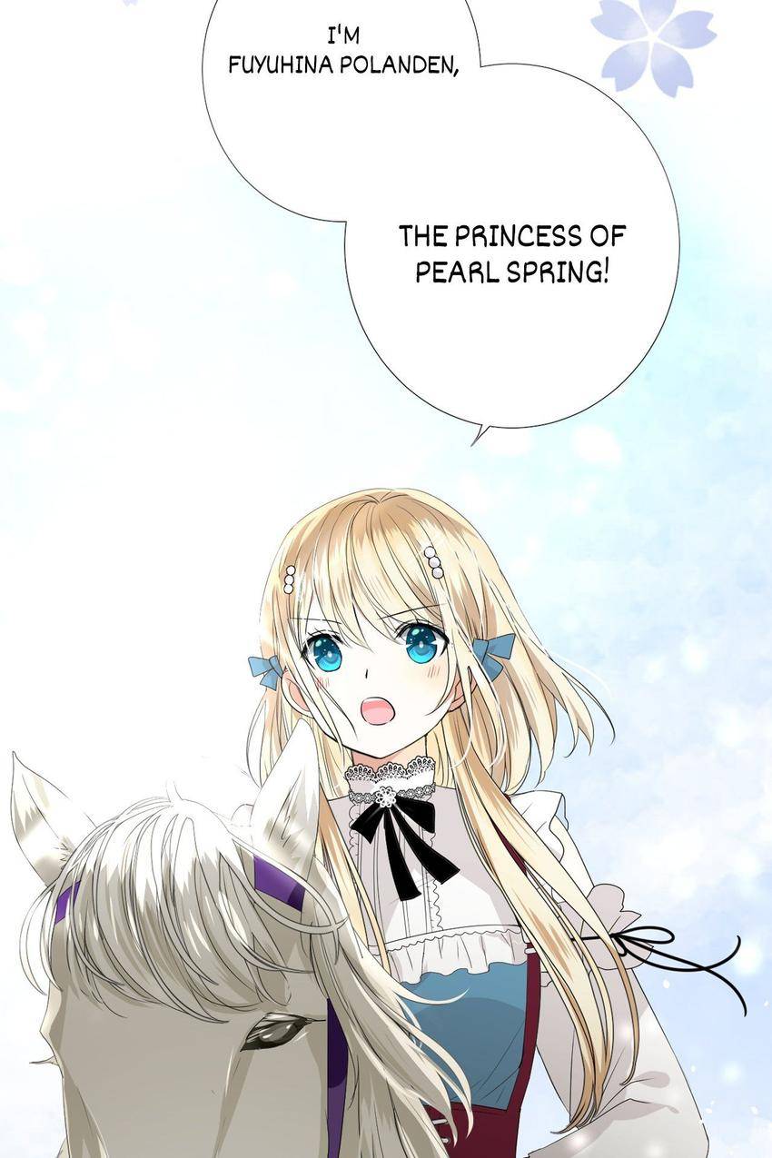 Princess in Adversity