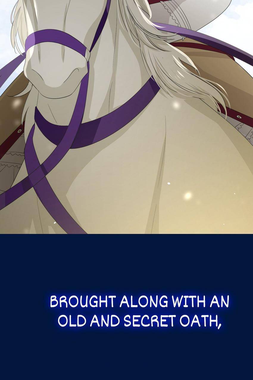 Princess in Adversity