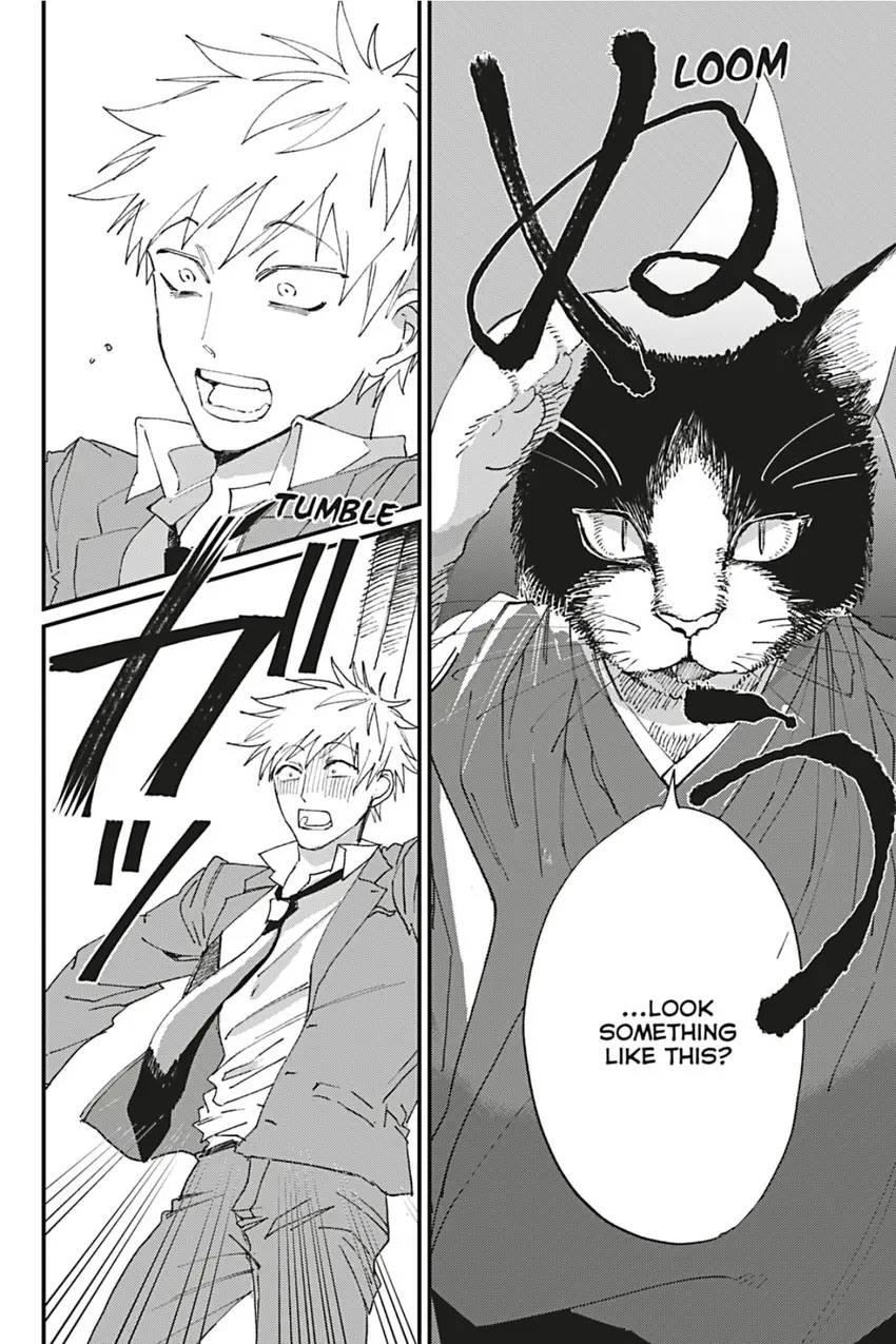 The Cat Proposed