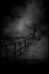 Ripple Rooter - Proxy of Fate • Chapter 1 • Page ik-page-650587