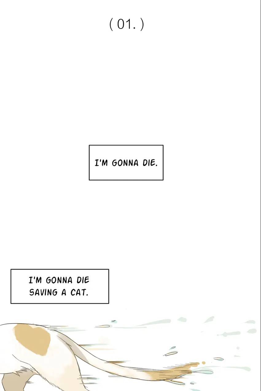 A World Ruled By Cats