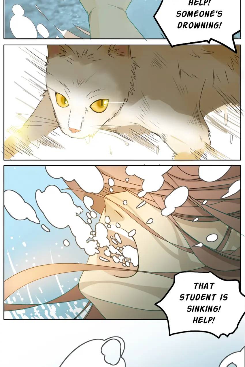 A World Ruled By Cats