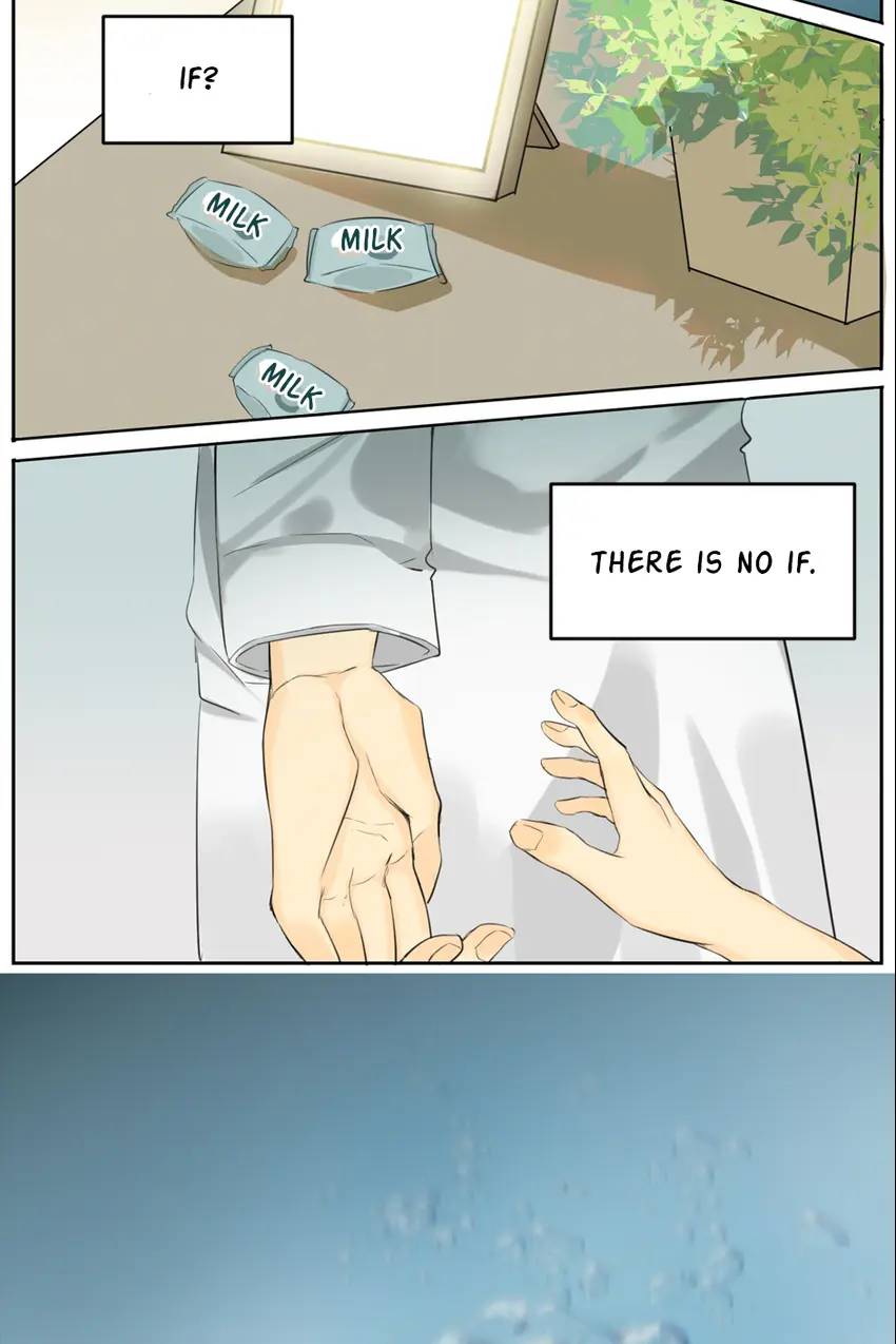 A World Ruled By Cats