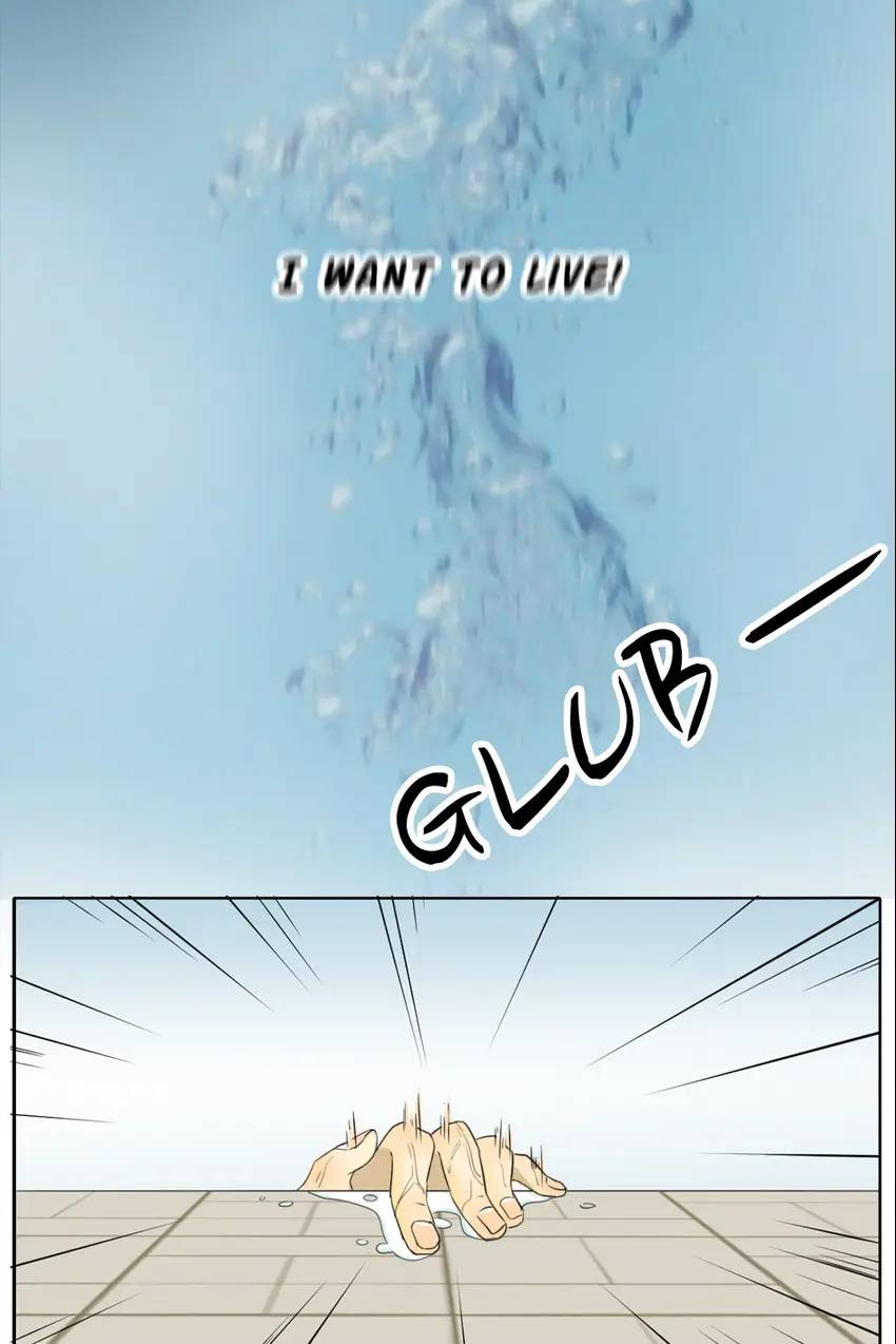 A World Ruled By Cats