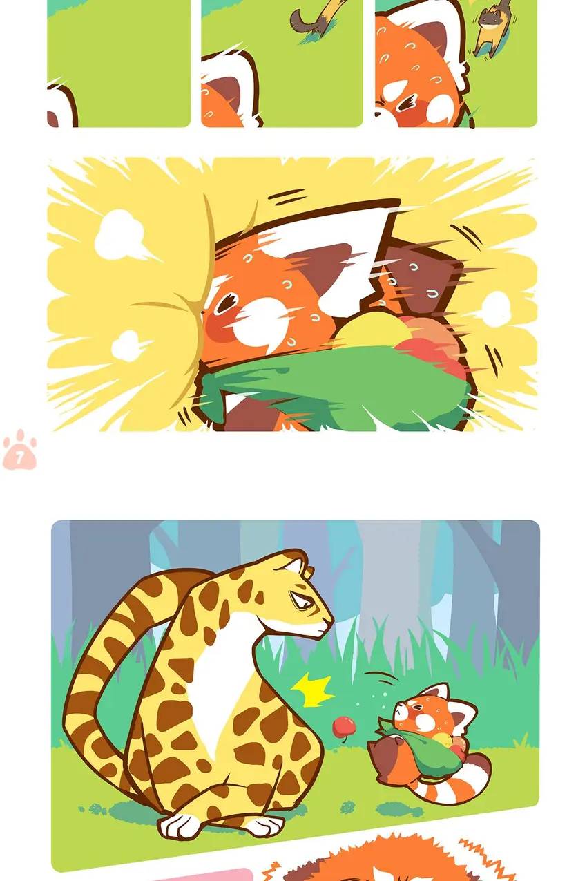 Panda and Red Panda