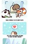 Panda and Red Panda • Chapter 4 • Page 10
