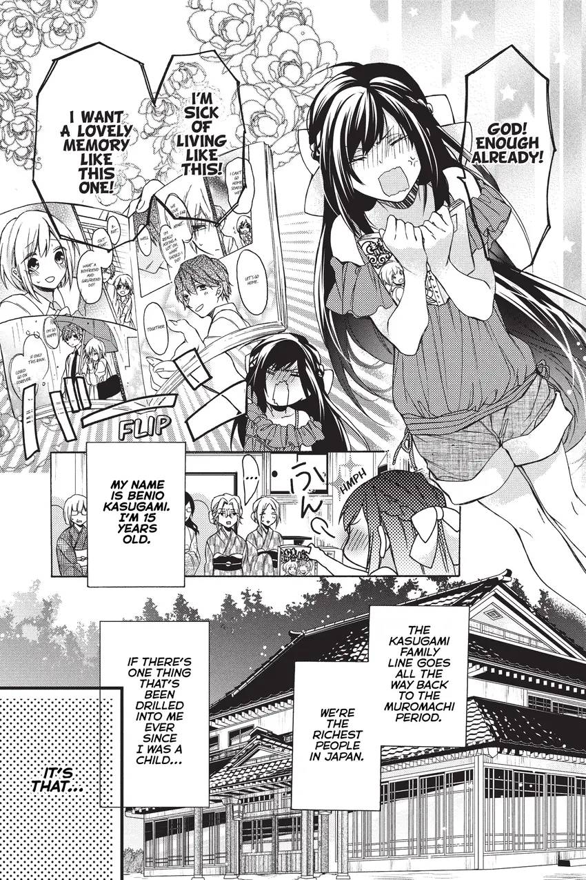 A Springtime with Ninjas