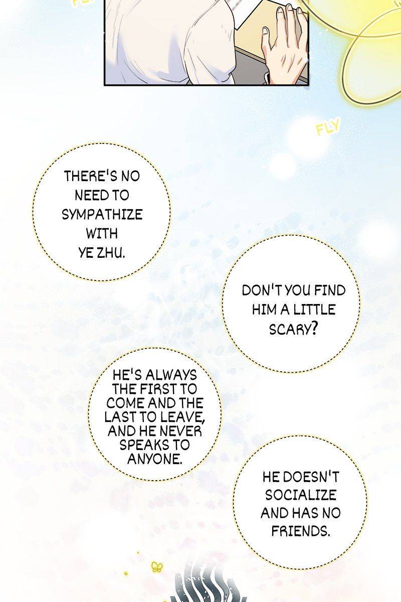 The Modern Story Of Majo