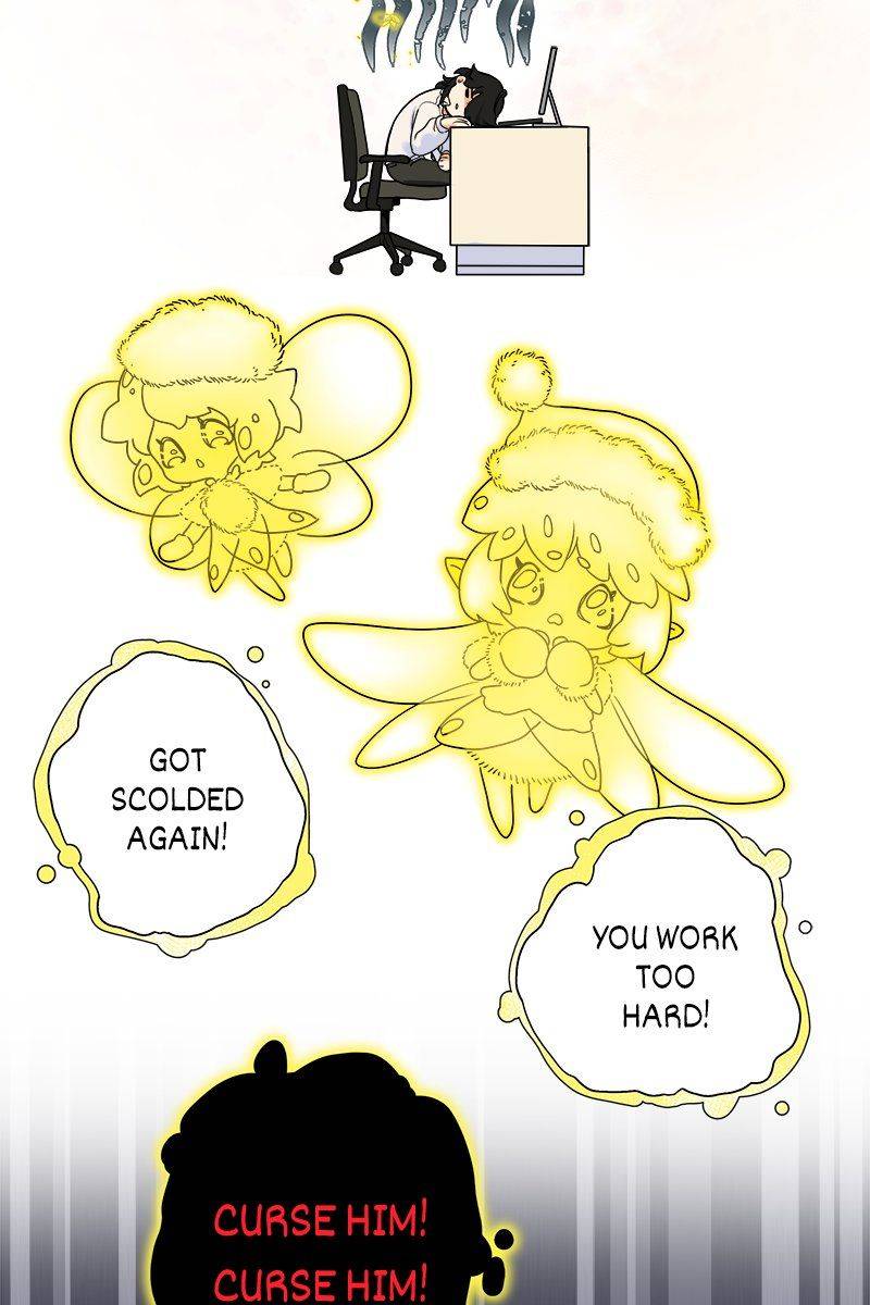 The Modern Story Of Majo