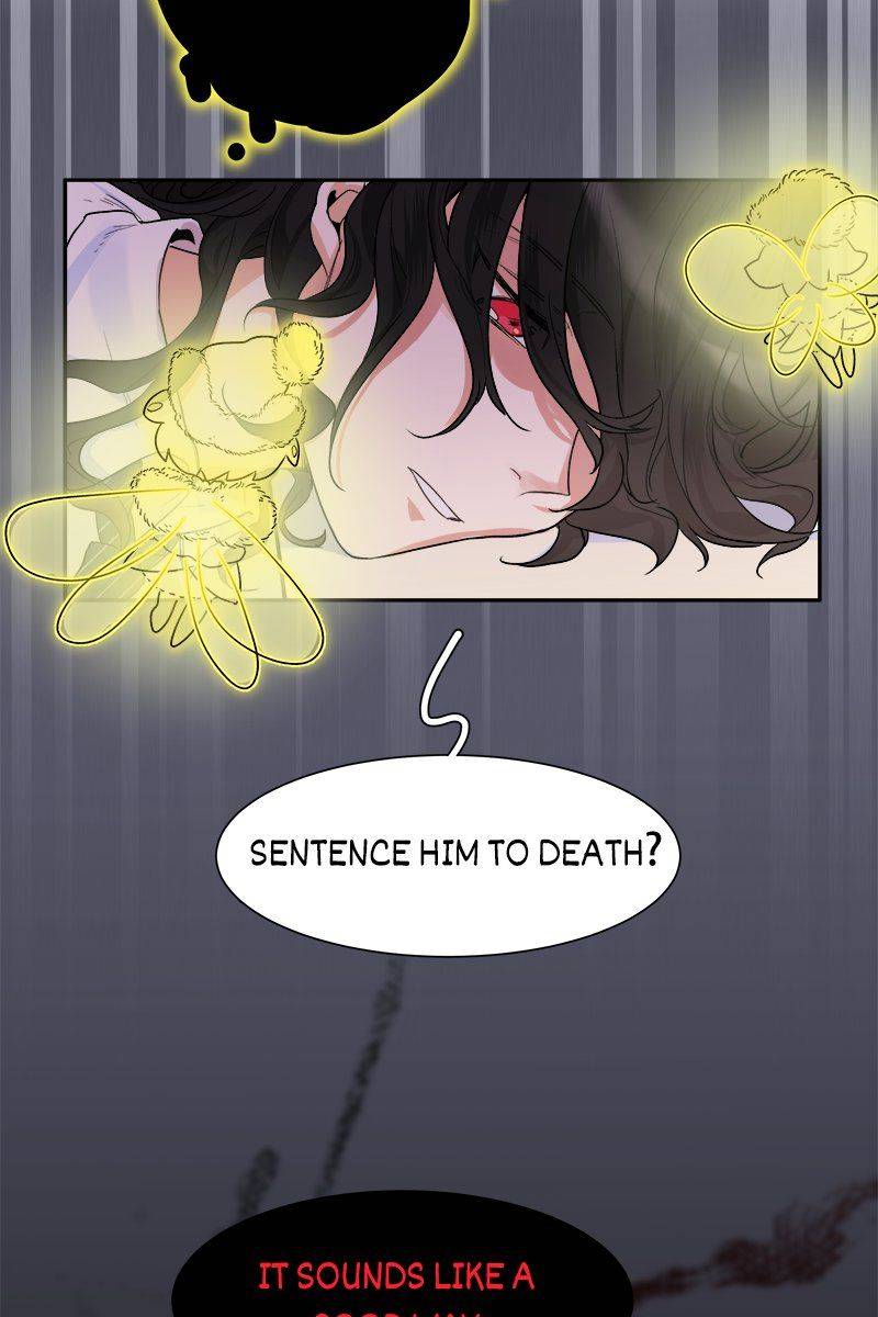 The Modern Story Of Majo