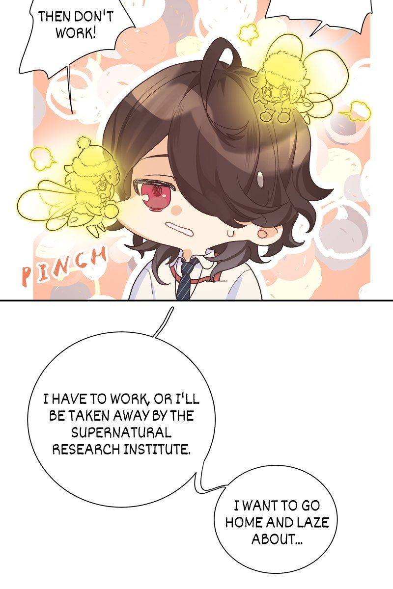 The Modern Story Of Majo