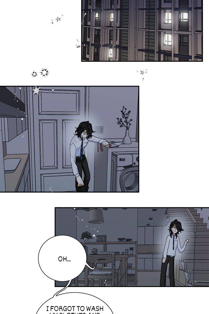 The Modern Story Of Majo