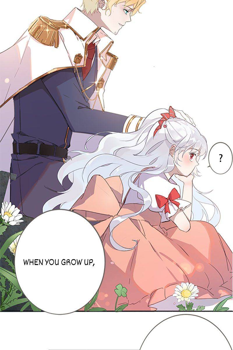 Princess Maid