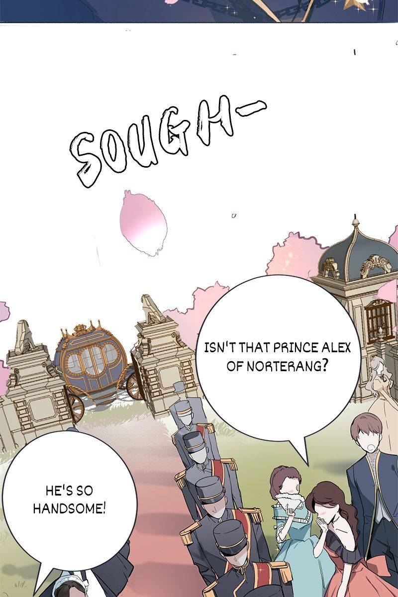 Princess Maid