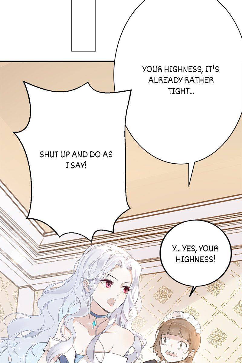 Princess Maid