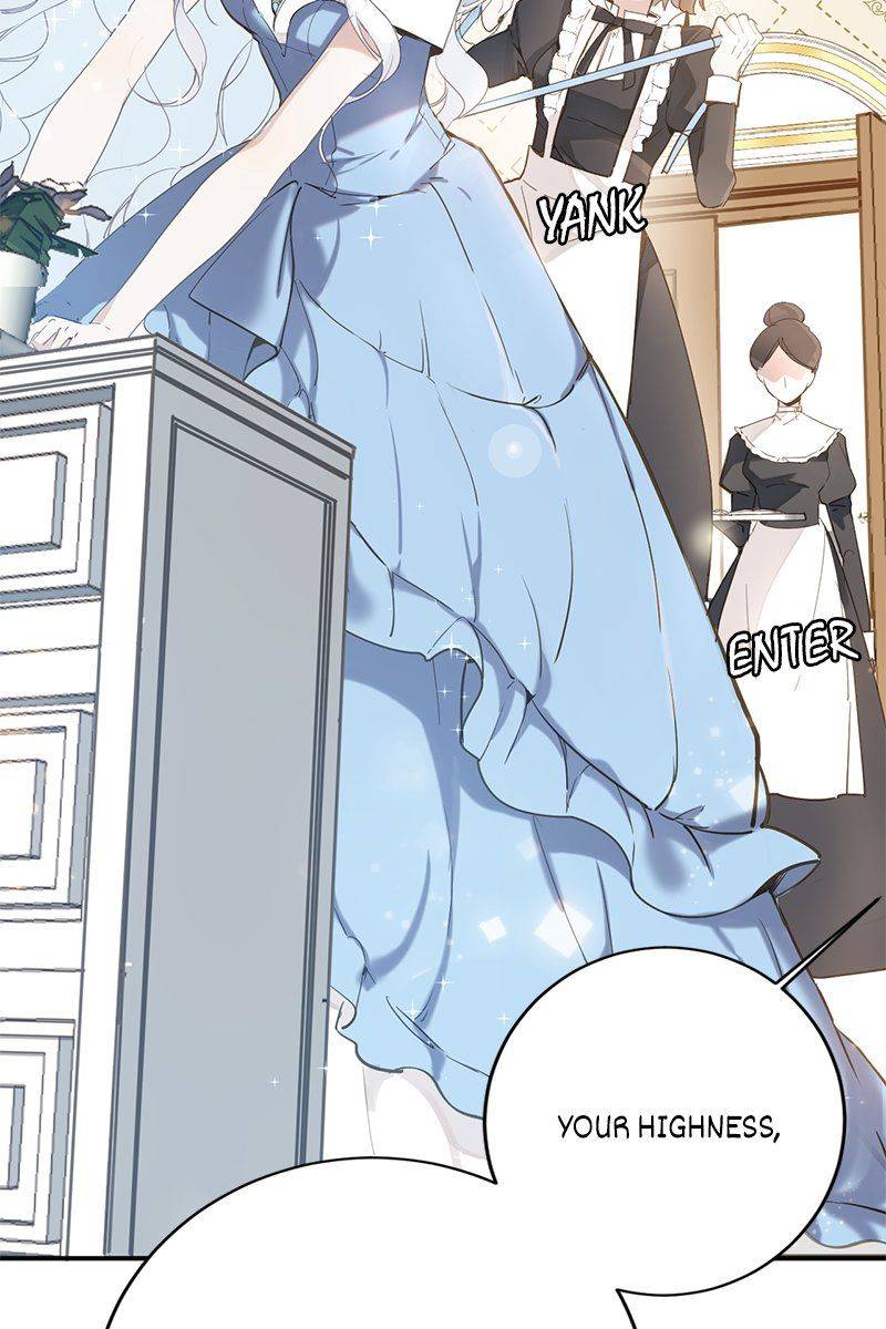 Princess Maid