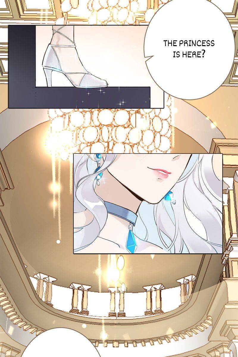 Princess Maid