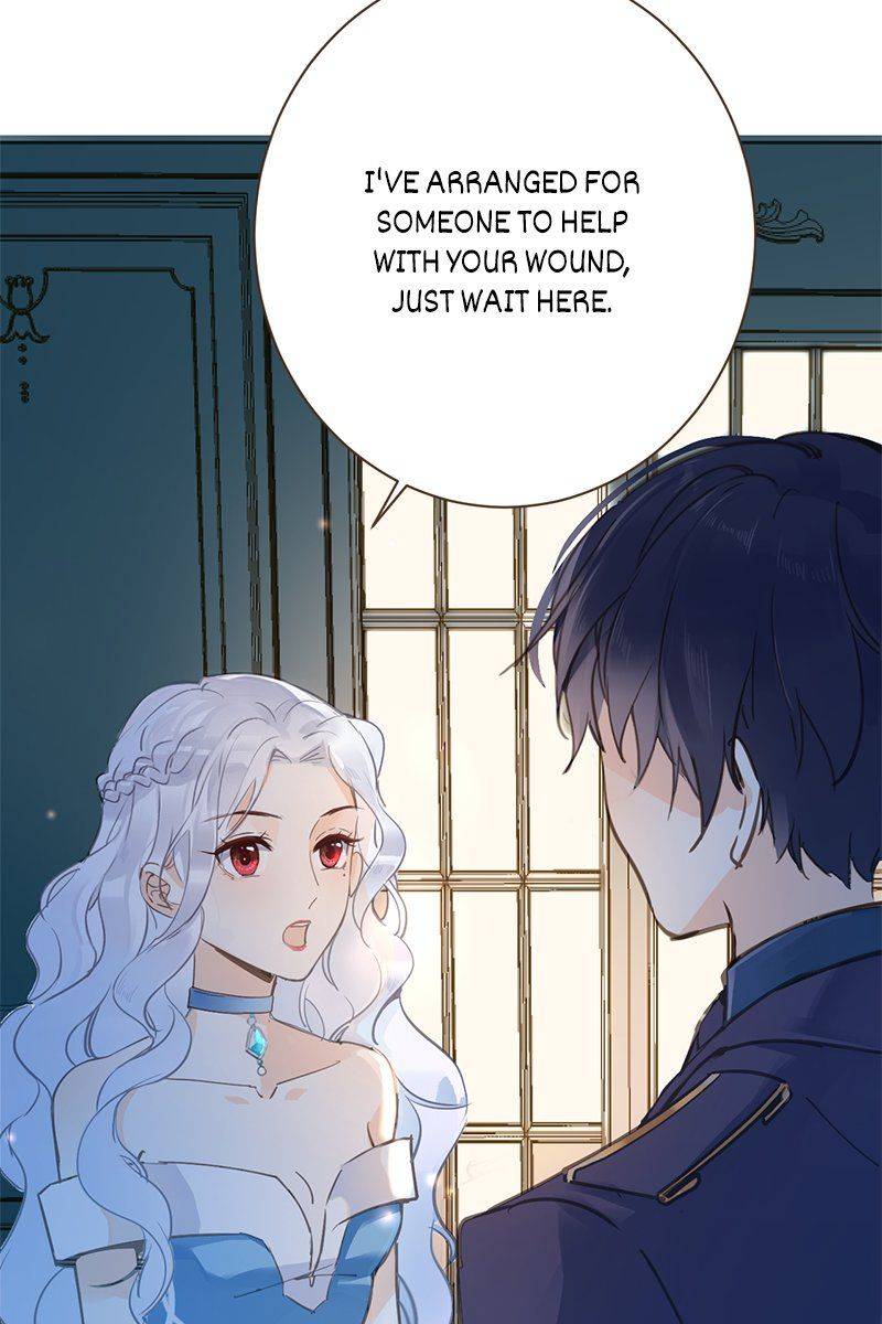 Princess Maid