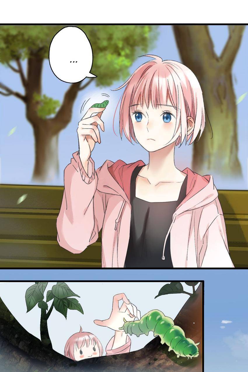 The Bait