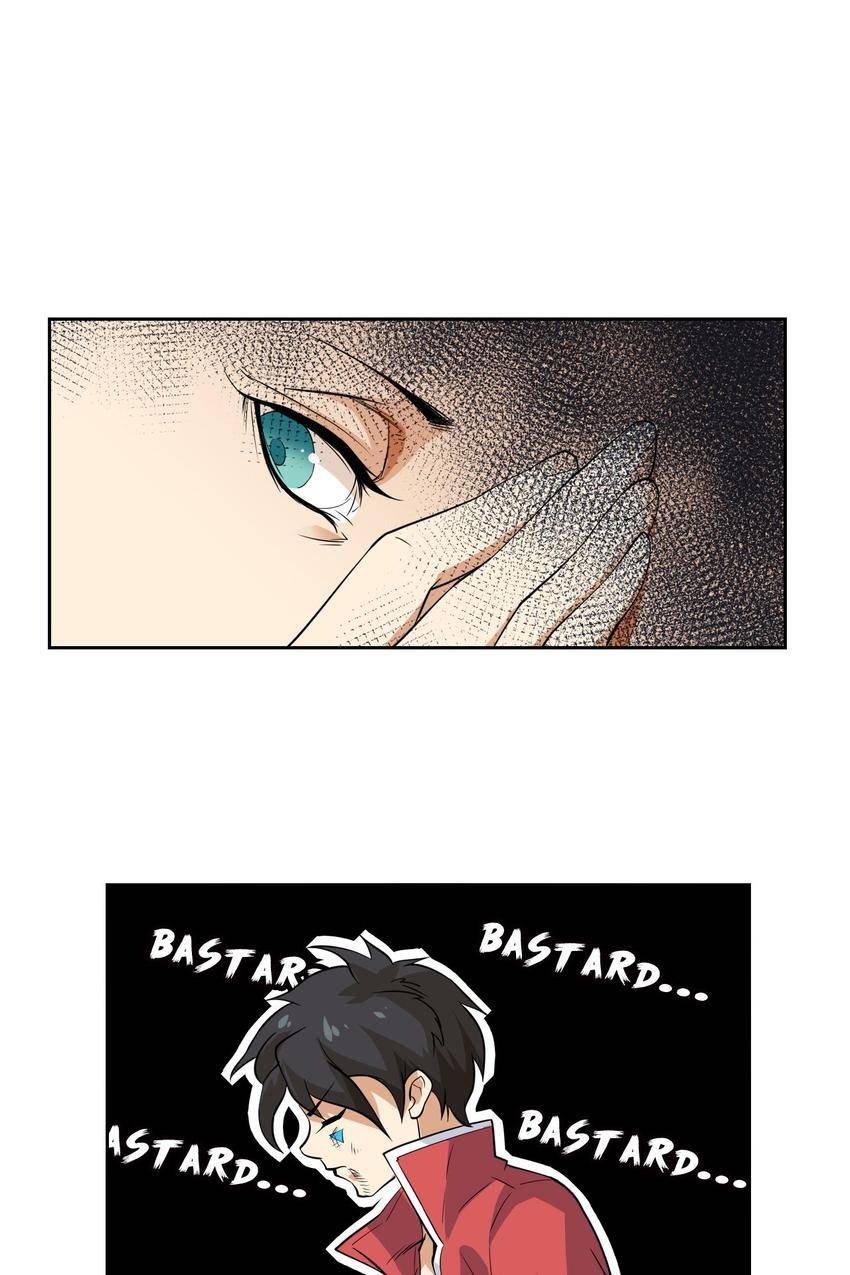 Final Will