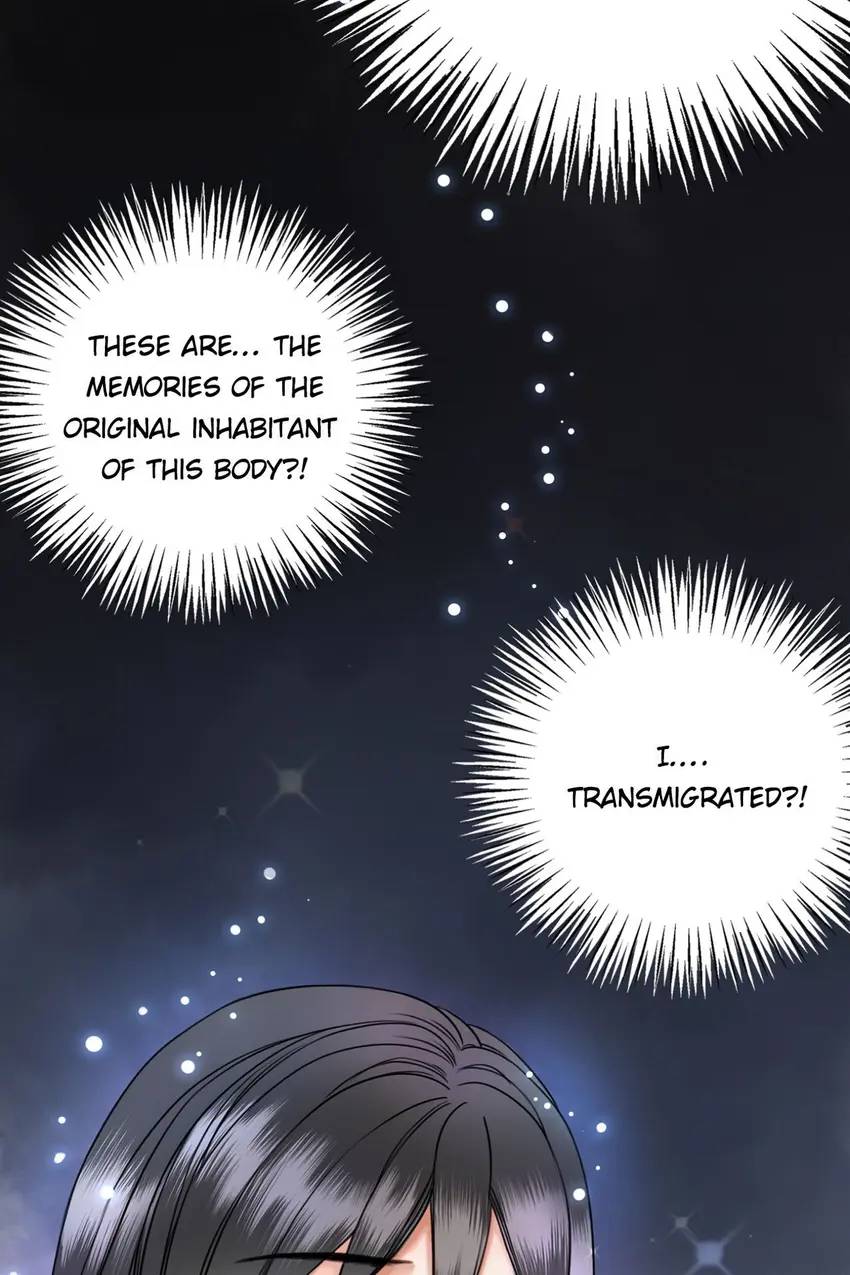Miss Miracle