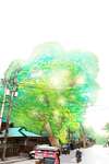 Logbook: Live, Love, Dive • Chapter 47: Diving Genius • Page ik-page-1622450
