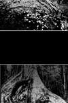 HOPE • Chapter 34 • Page ik-page-2246411