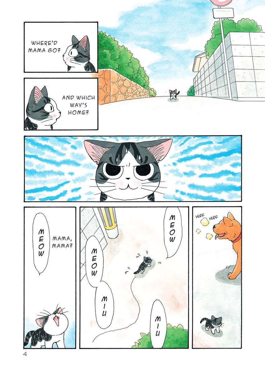 Chi's Sweet Home