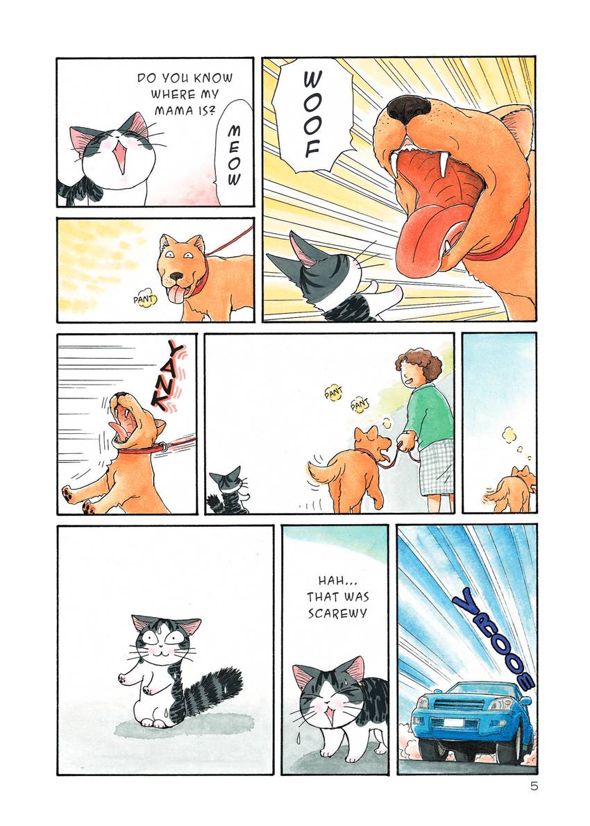 Chi's Sweet Home