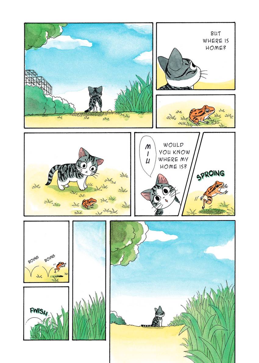 Chi's Sweet Home