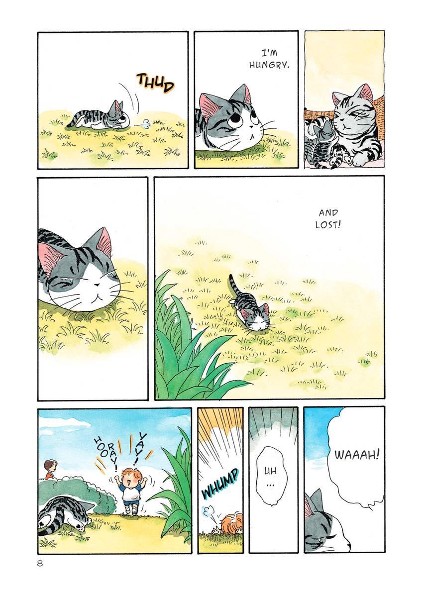 Chi's Sweet Home