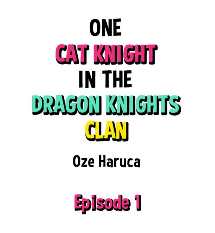 One Cat Knight in the Dragon Knights Clan