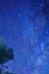 Final Will • Chapter 195 • Page ik-page-4943433