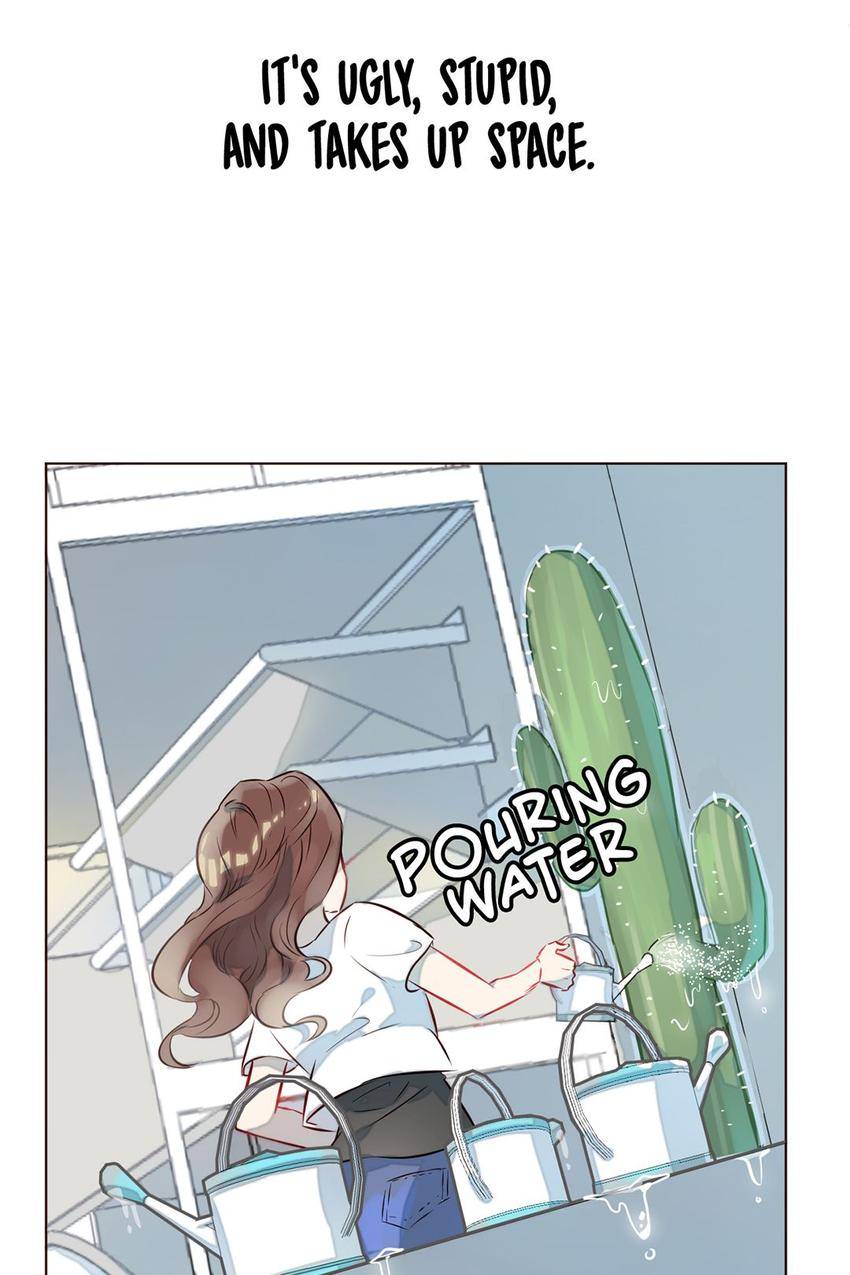 My Cactus Boyfriend