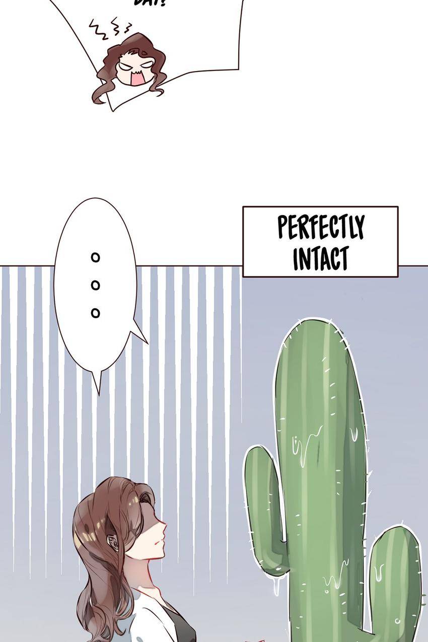 My Cactus Boyfriend
