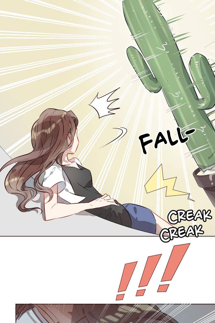 My Cactus Boyfriend