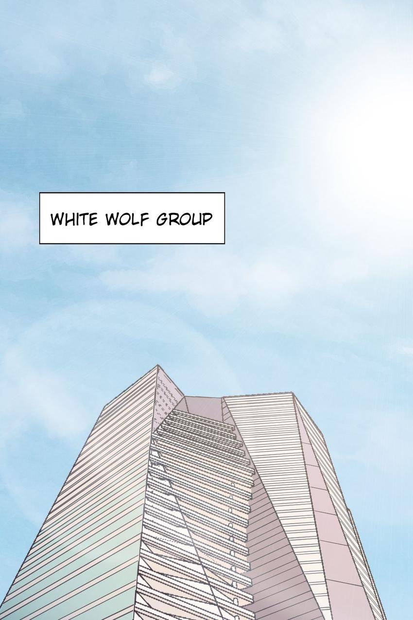 Bring A Wolf Home