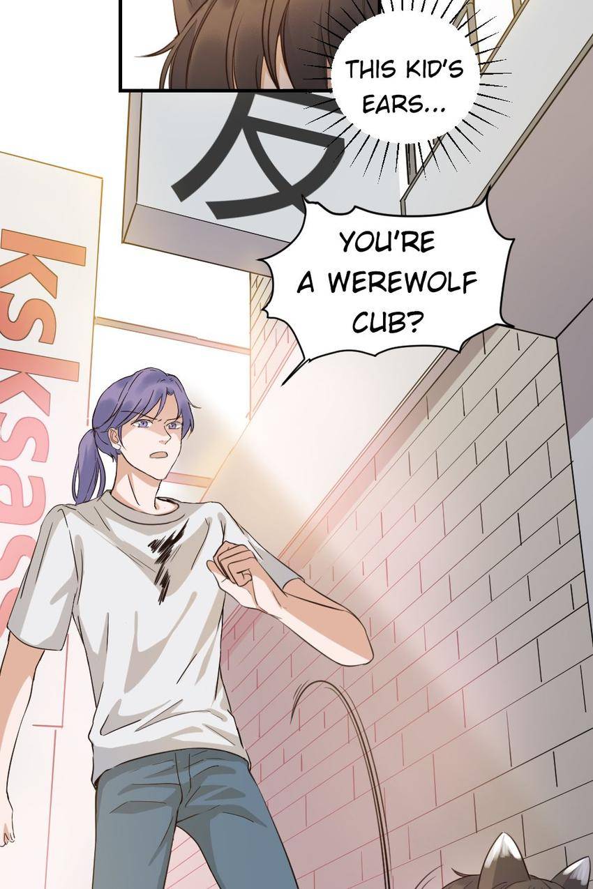 Bring A Wolf Home