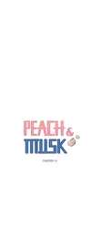 Peach & Musk [Mature] • Chapter 19 • Page ik-page-4211930