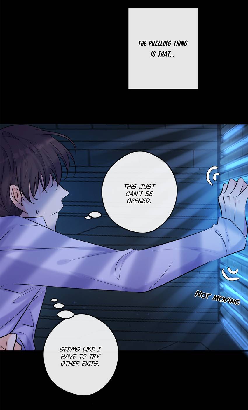The Promise