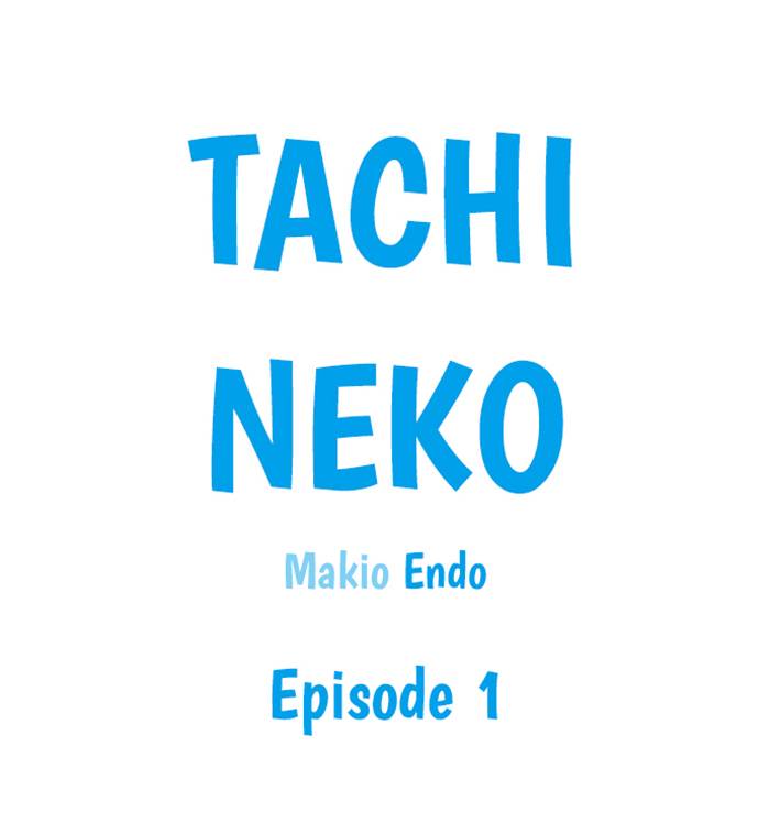 Tachi Neko