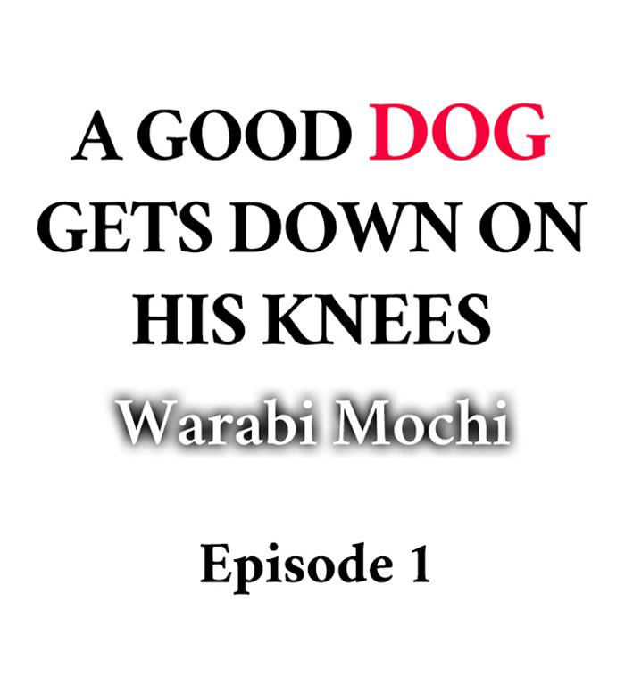 A Good Dog Gets Down on His Knees