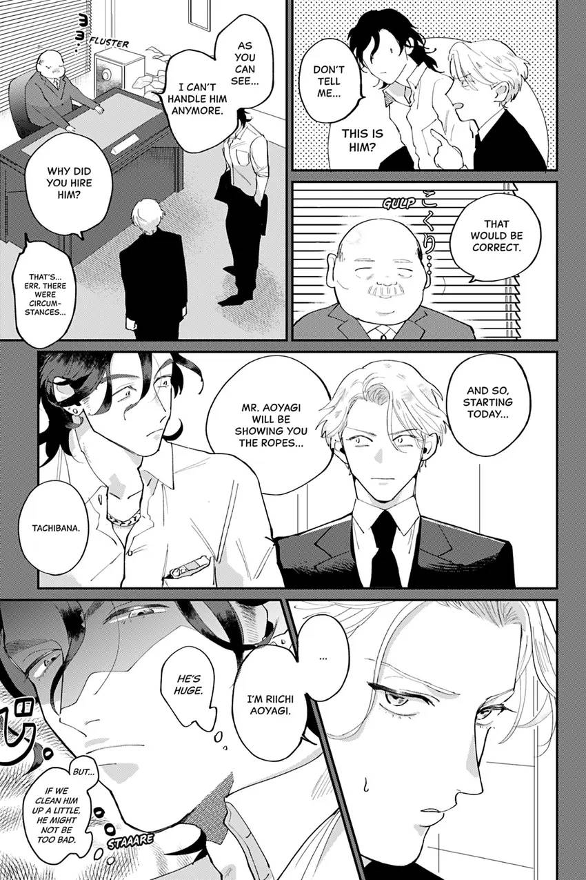 My Dear Agent