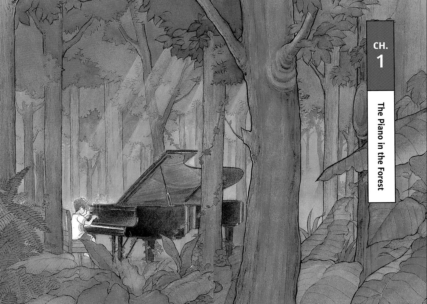 Forest of Piano