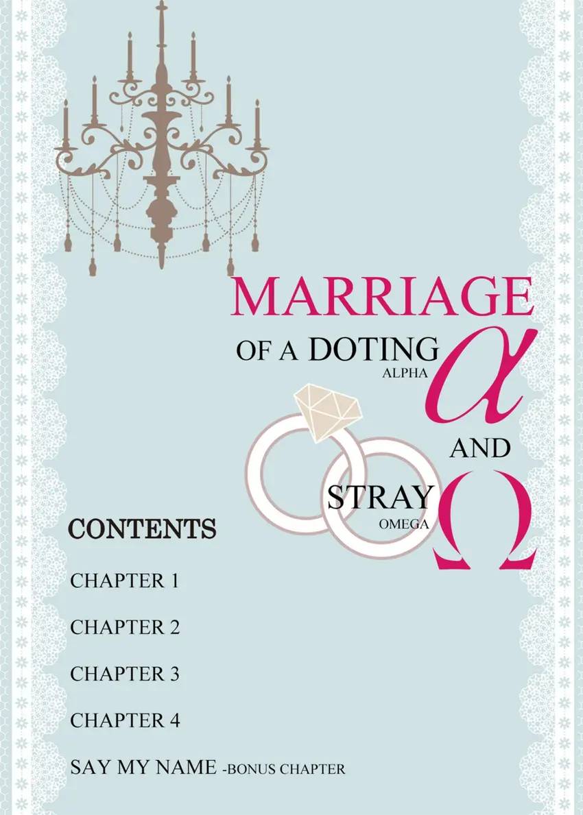 Marriage of a Doting Alpha and Stray Omega