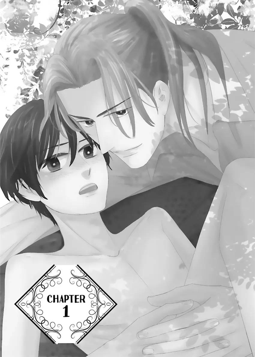 Marriage of a Doting Alpha and Stray Omega