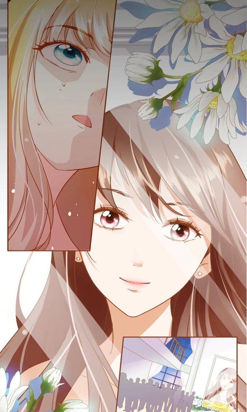 Miss Revenge's Counterattack