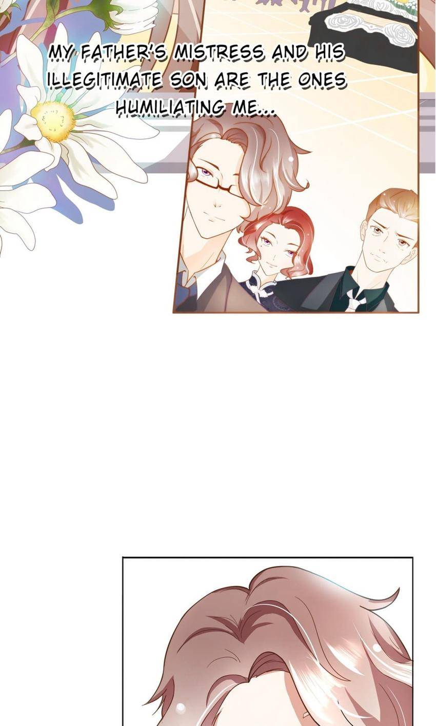 Miss Revenge's Counterattack