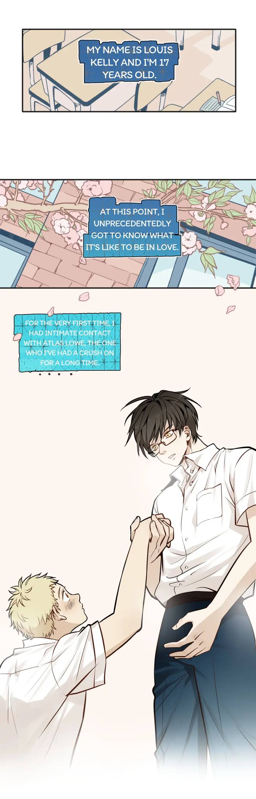 The Beautiful Seventeen